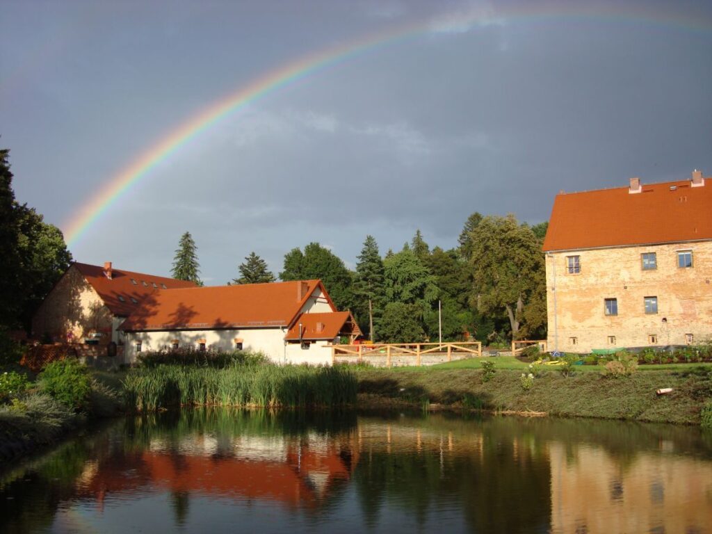Arboretum wojsławice