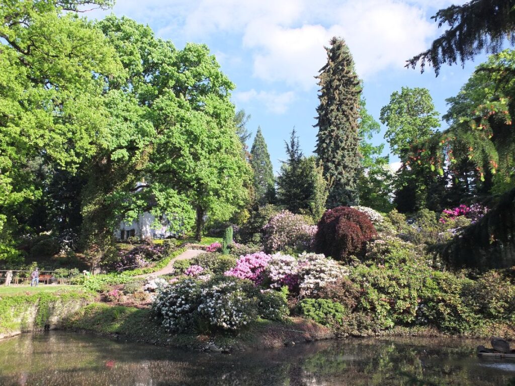 arboretum wojsławice