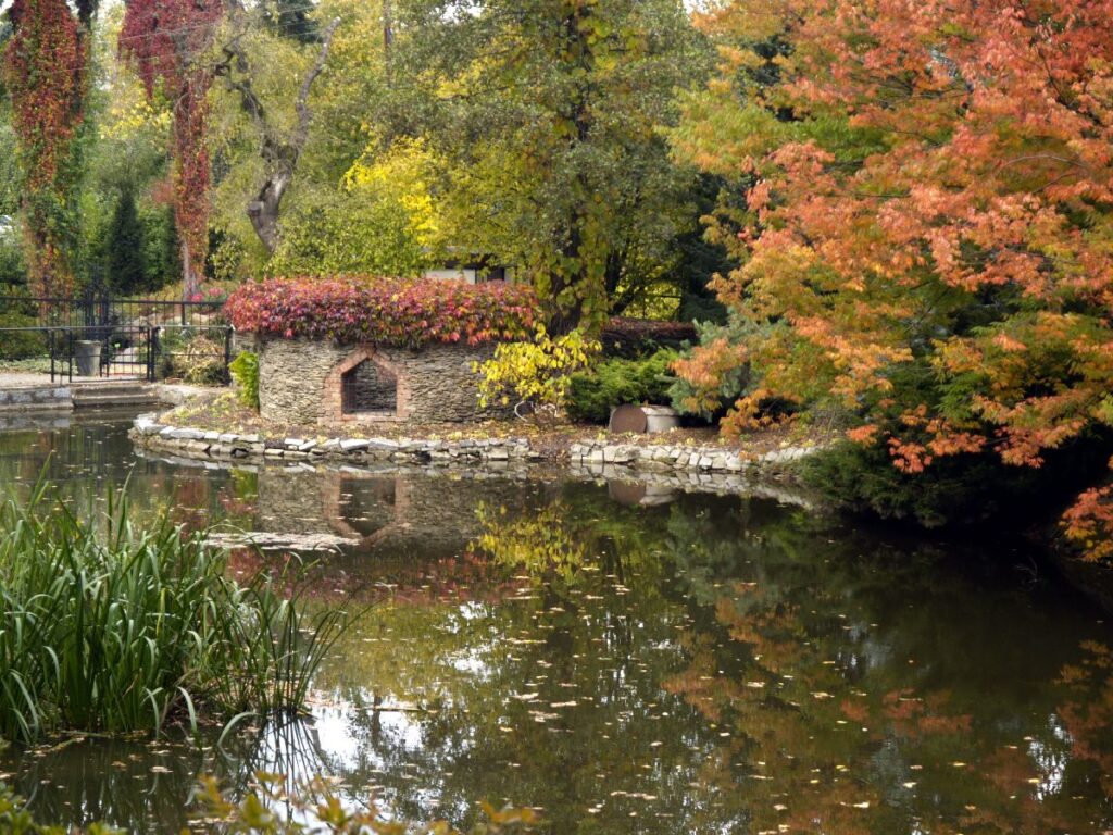 arboretum wojsławice